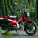 Image for article titled The 2020 Honda CT125 Hunter Cub Is The Scrambler Scooter Throwback The World Needs Right Now